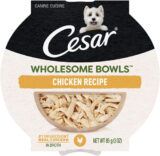 FREE Cesar Wholesome Bowls Wet Dog Food Sample